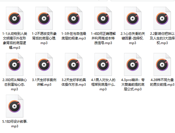 柯李思Chris《高阶技术 Pro》 百度网盘下载插图3