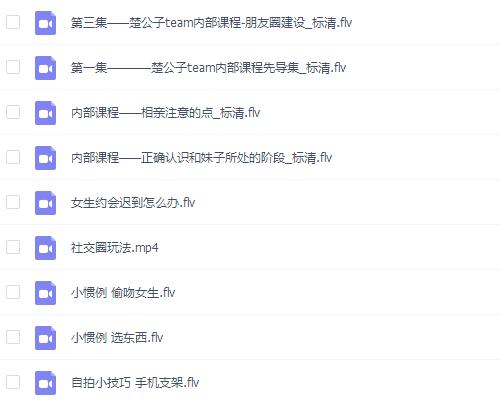 楚公子:《内部课程》百度网盘下载插图 楚公子:《内部课程》百度网盘下载插图